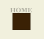 home button